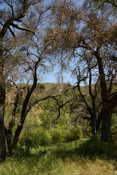 DSC_1644 (Large).JPG